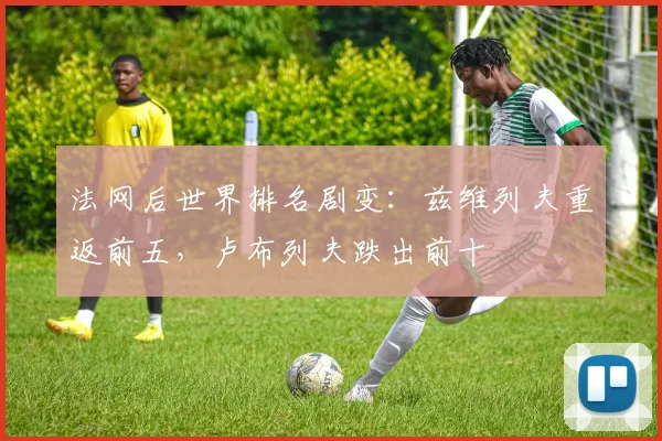 法网后世界排名剧变：兹维列夫重返前五，卢布列夫跌出前十